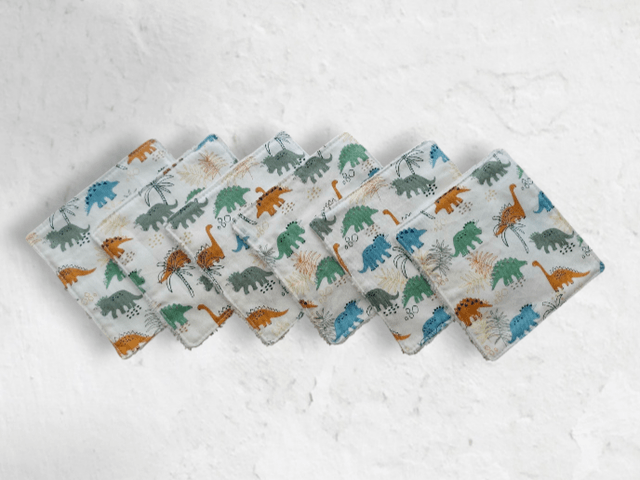 Lot de 6 lingettes