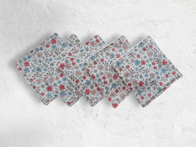 Lot de 5 lingettes