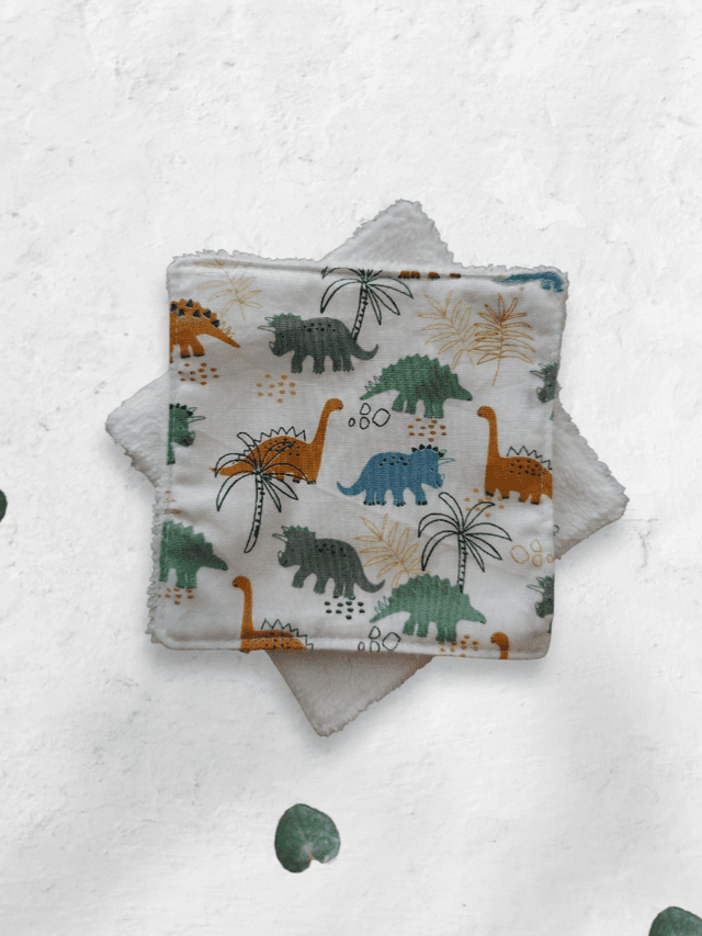 Lot de 6 lingettes