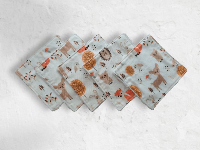 Lot de 5 lingettes